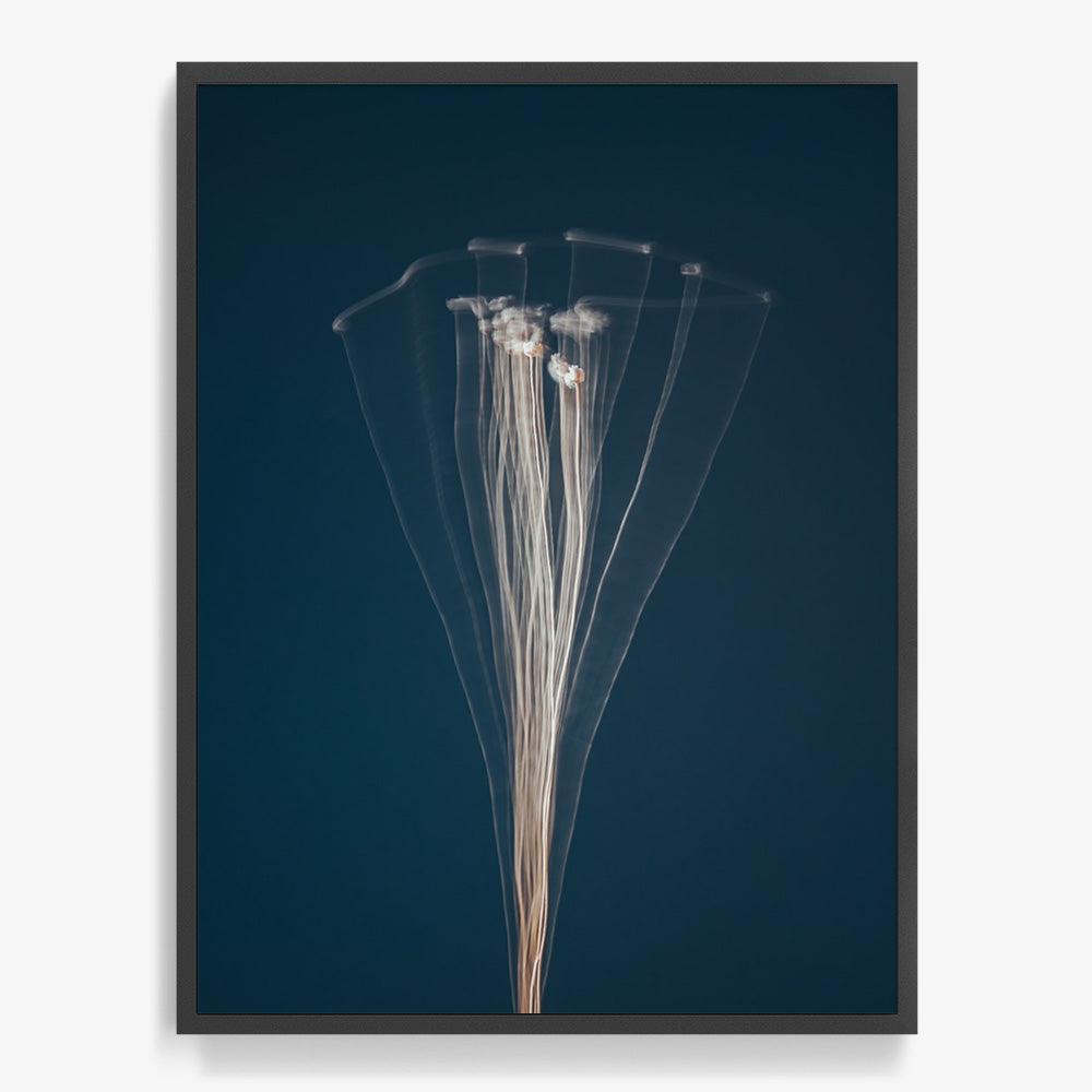 Photograph by Jan Prengel