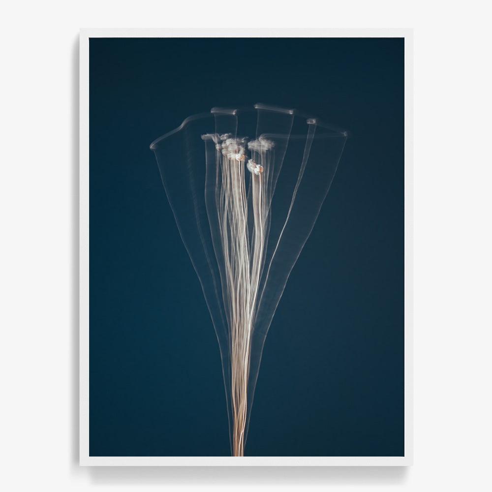 Photograph by Jan Prengel