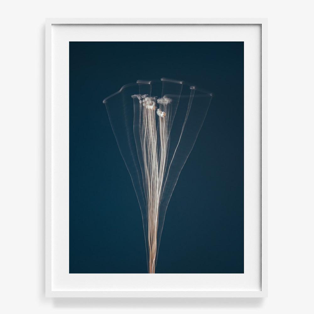 Photograph by Jan Prengel