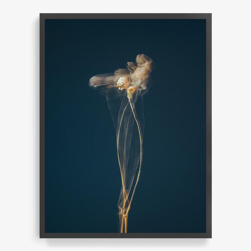 Photograph by Jan Prengel