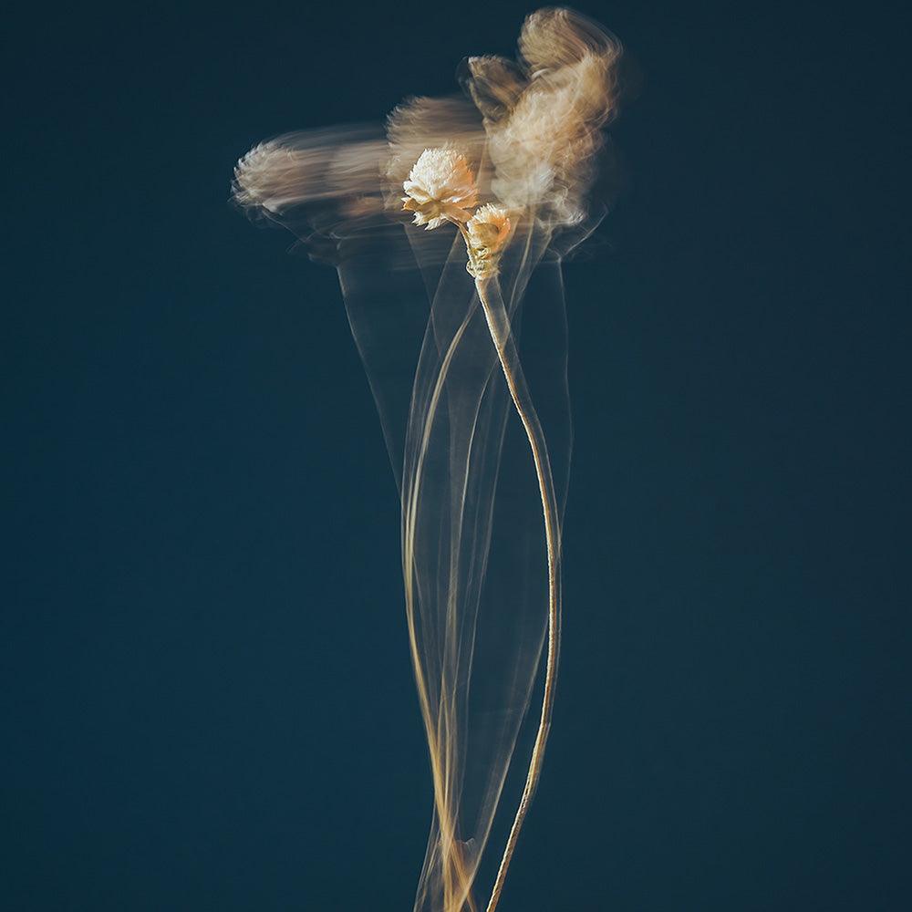 Photograph by Jan Prengel