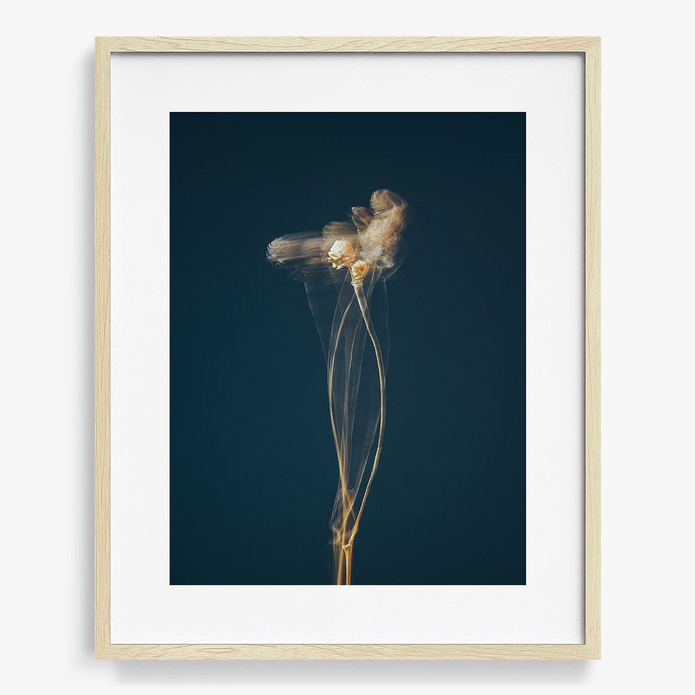 Photograph by Jan Prengel