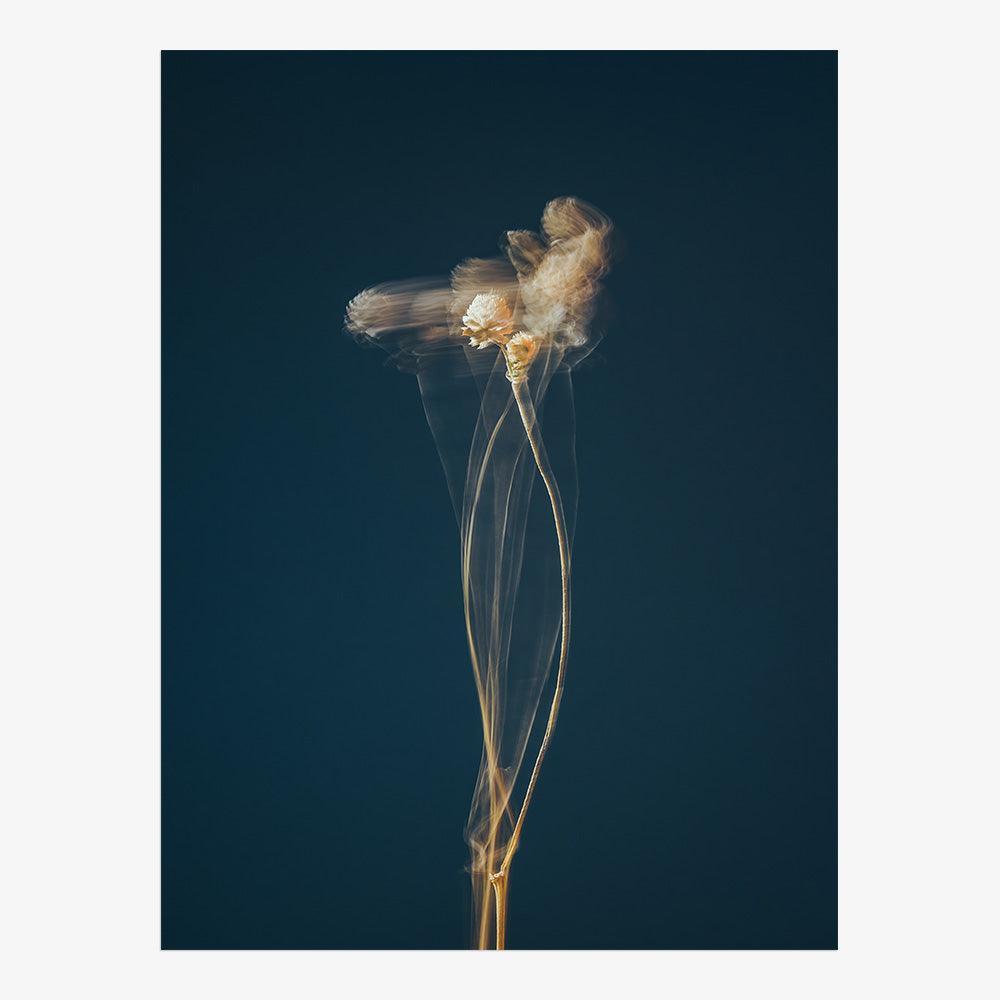 Photograph by Jan Prengel