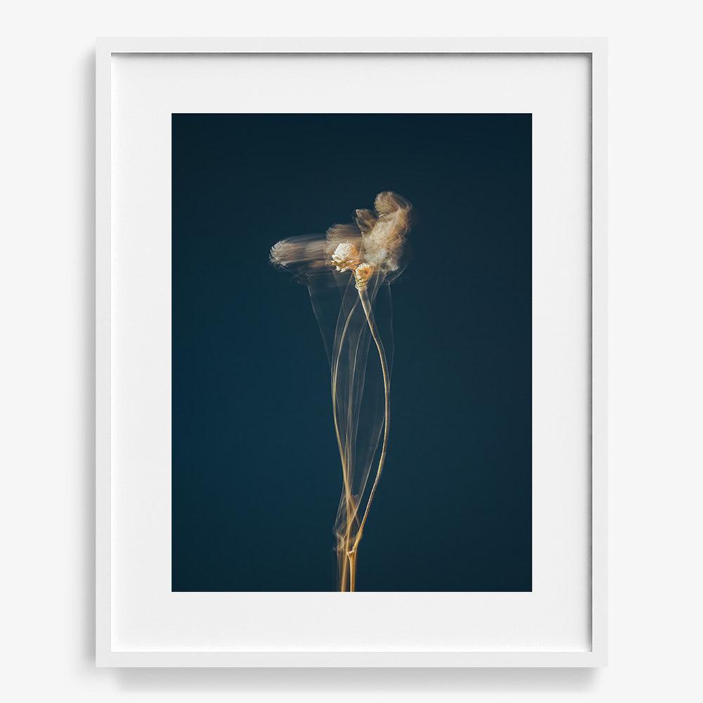 Photograph by Jan Prengel