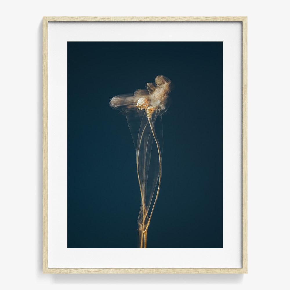 Photograph by Jan Prengel