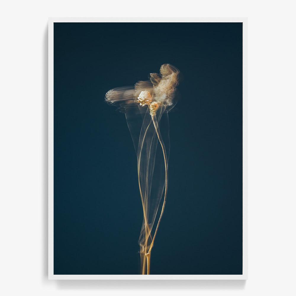 Photograph by Jan Prengel