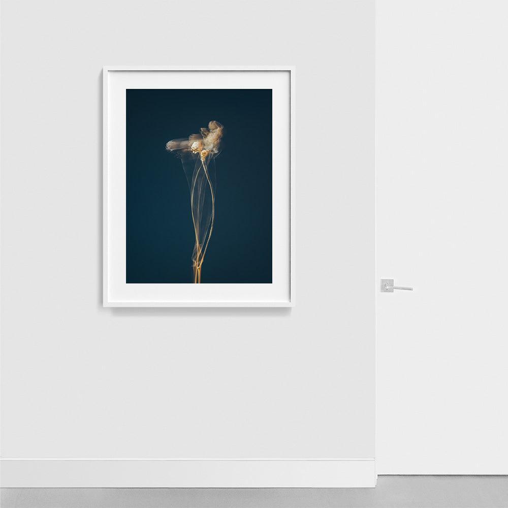 Photograph by Jan Prengel