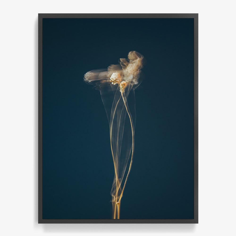 Photograph by Jan Prengel