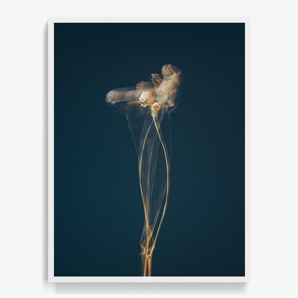 Photograph by Jan Prengel