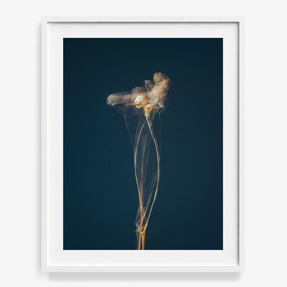 Photograph by Jan Prengel