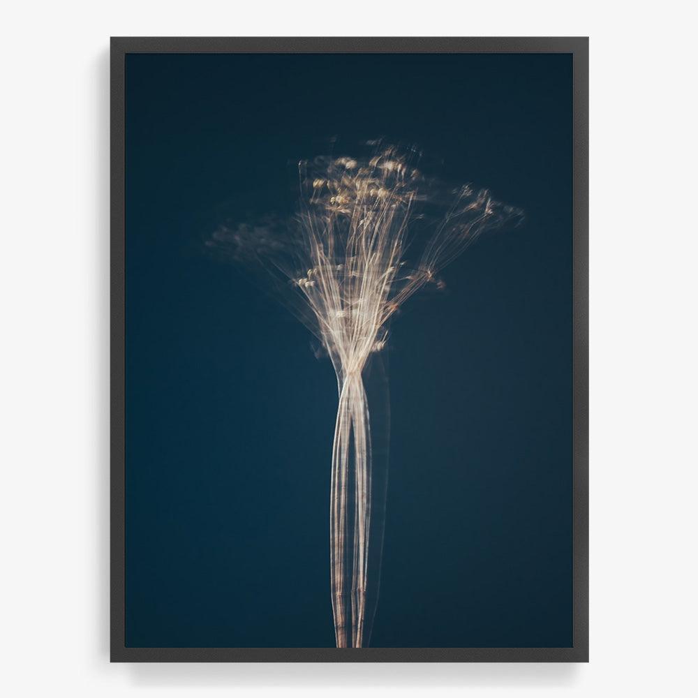 Photograph by Jan Prengel