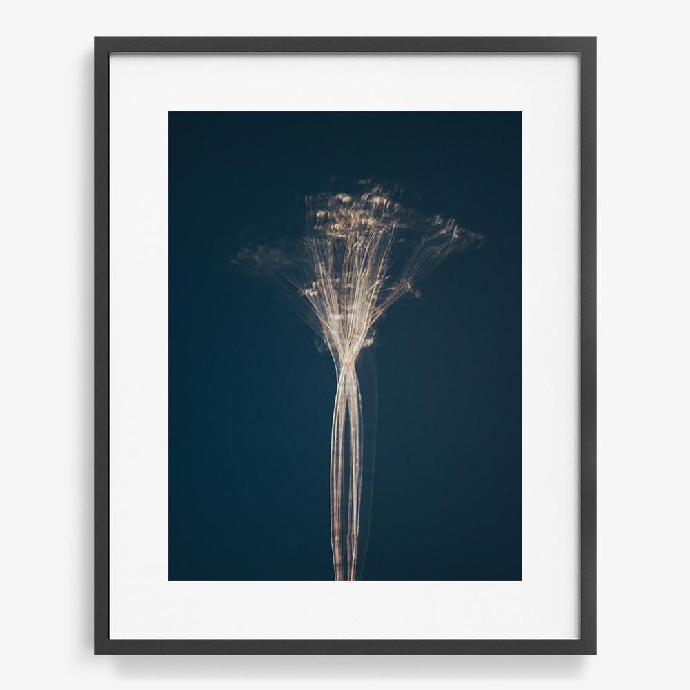 Photograph by Jan Prengel