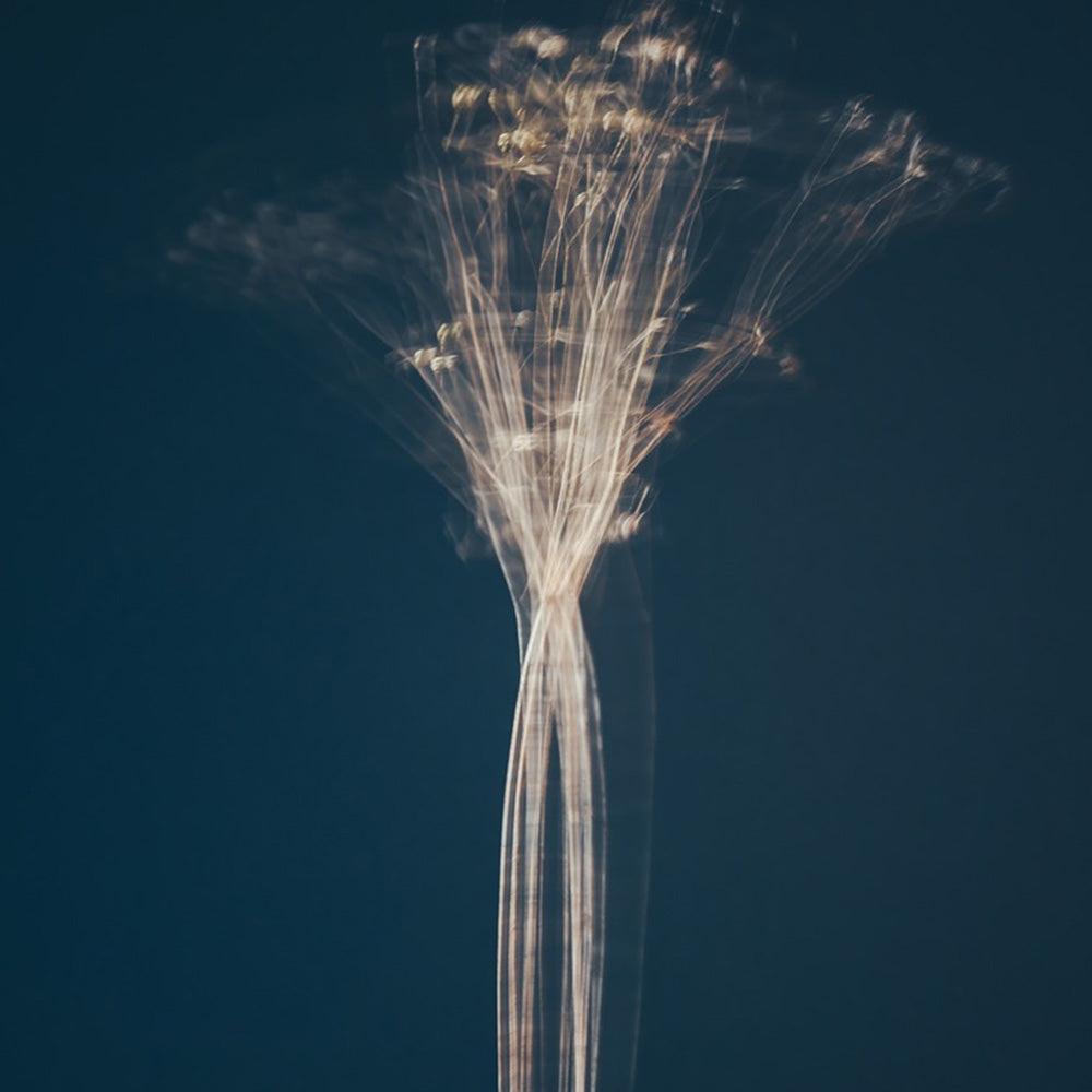 Photograph by Jan Prengel