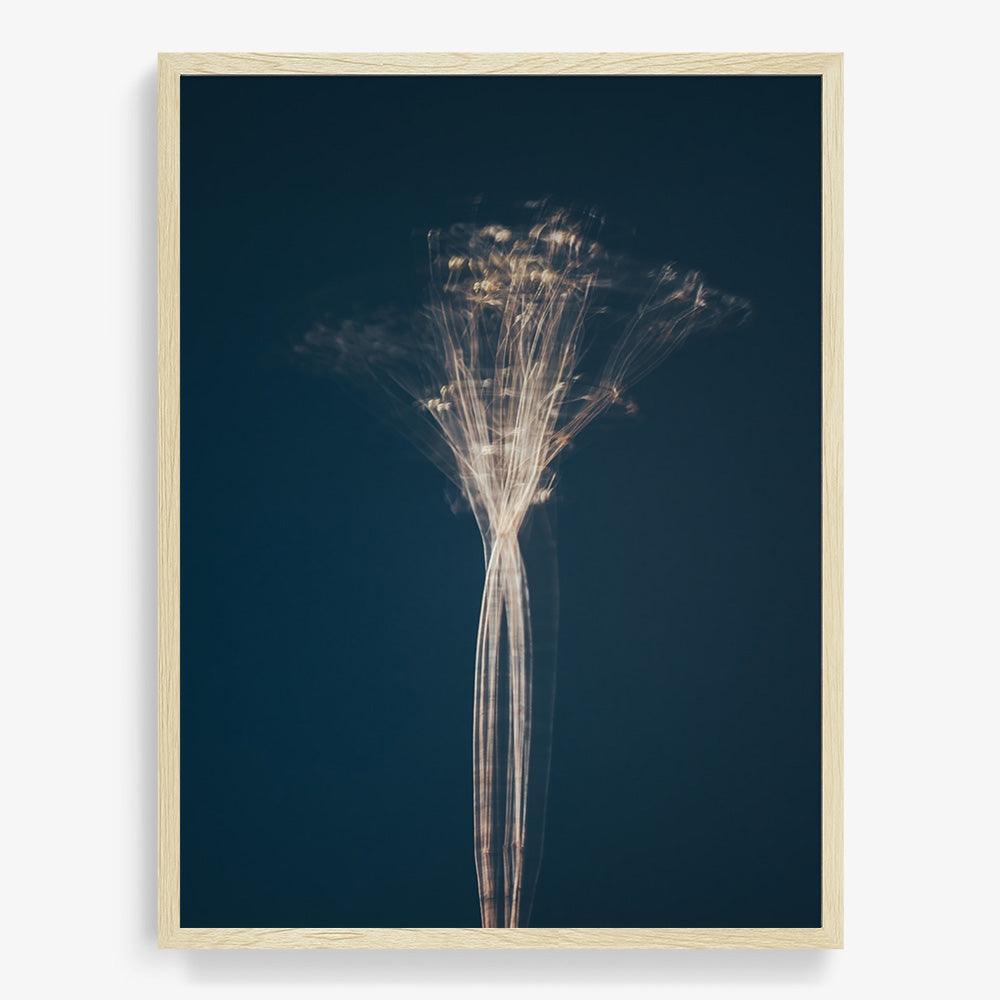 Photograph by Jan Prengel