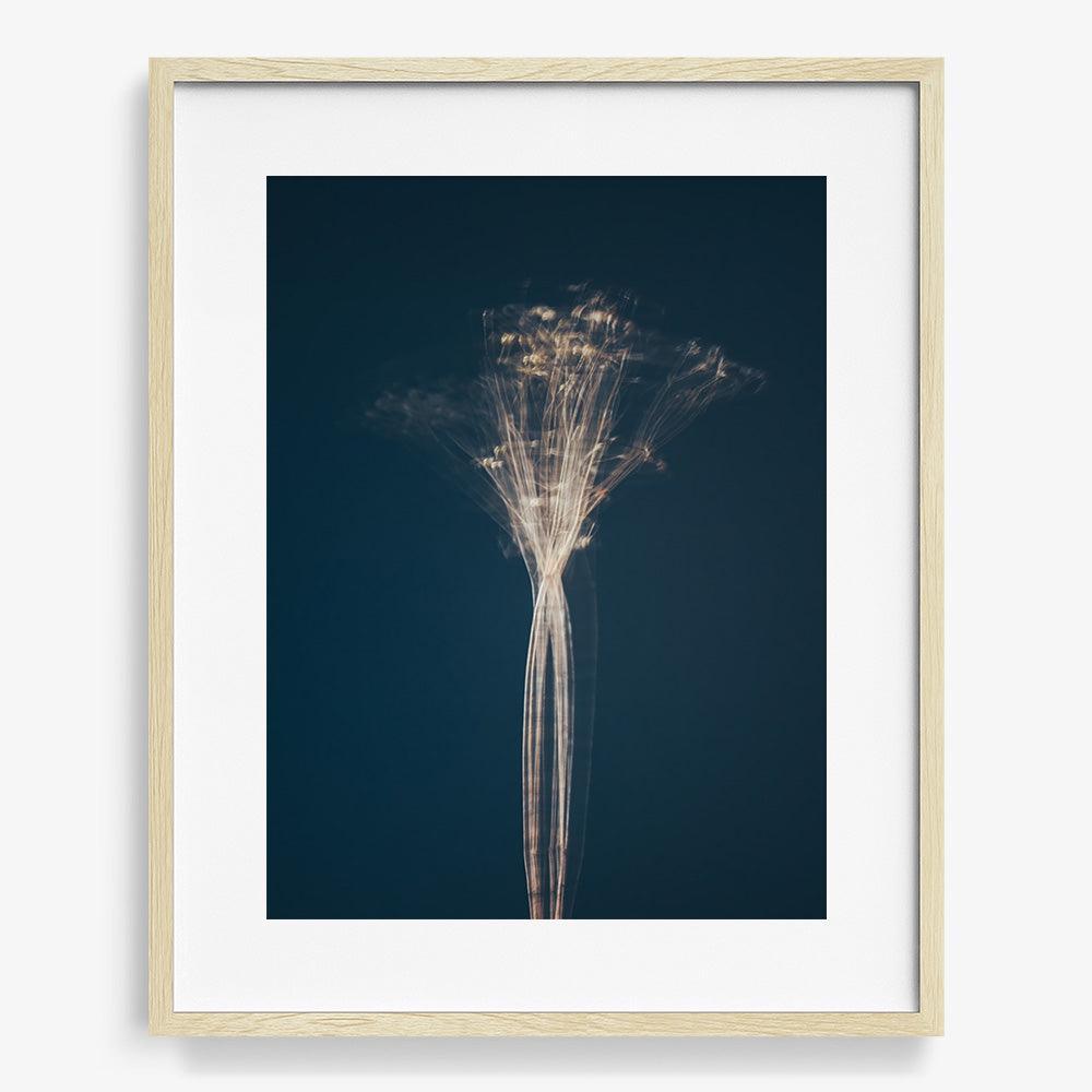 Photograph by Jan Prengel