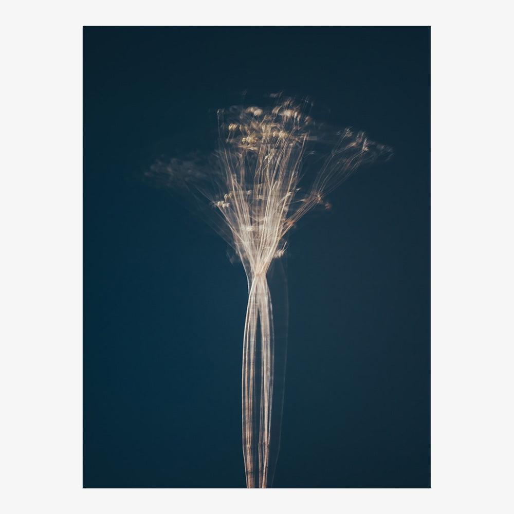 Photograph by Jan Prengel