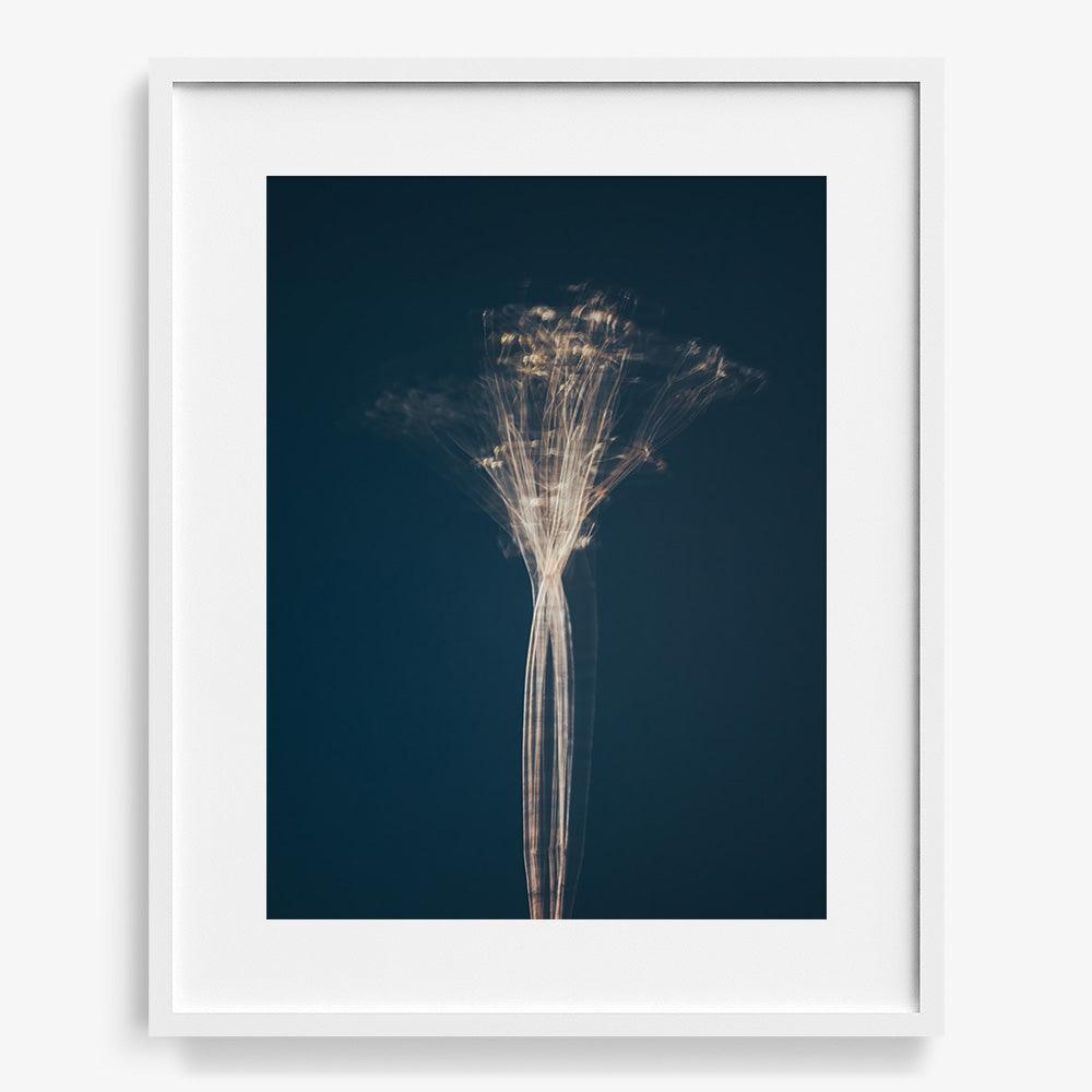 Photograph by Jan Prengel