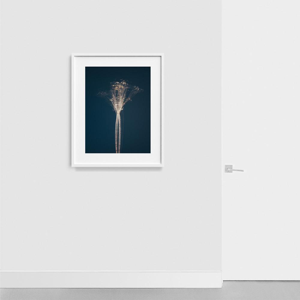 Photograph by Jan Prengel