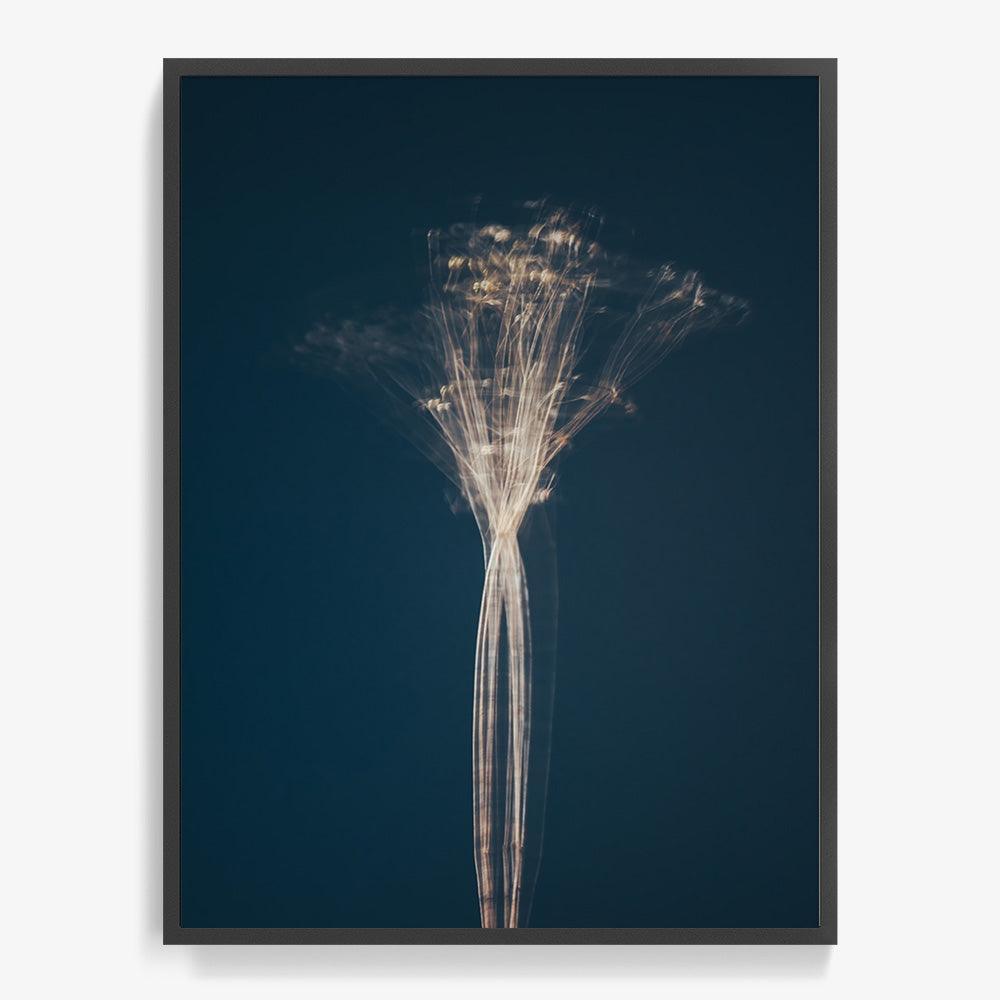 Photograph by Jan Prengel