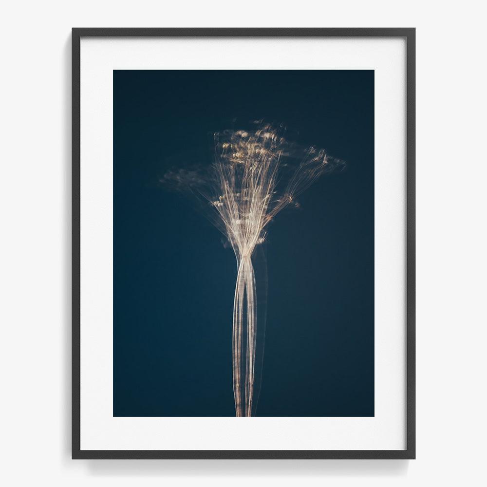 Photograph by Jan Prengel