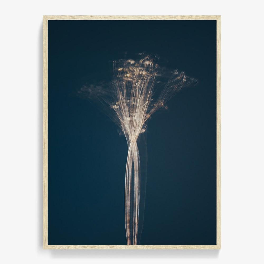 Photograph by Jan Prengel