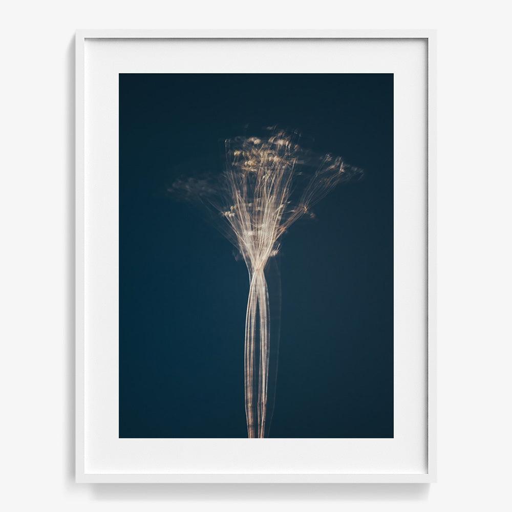 Photograph by Jan Prengel