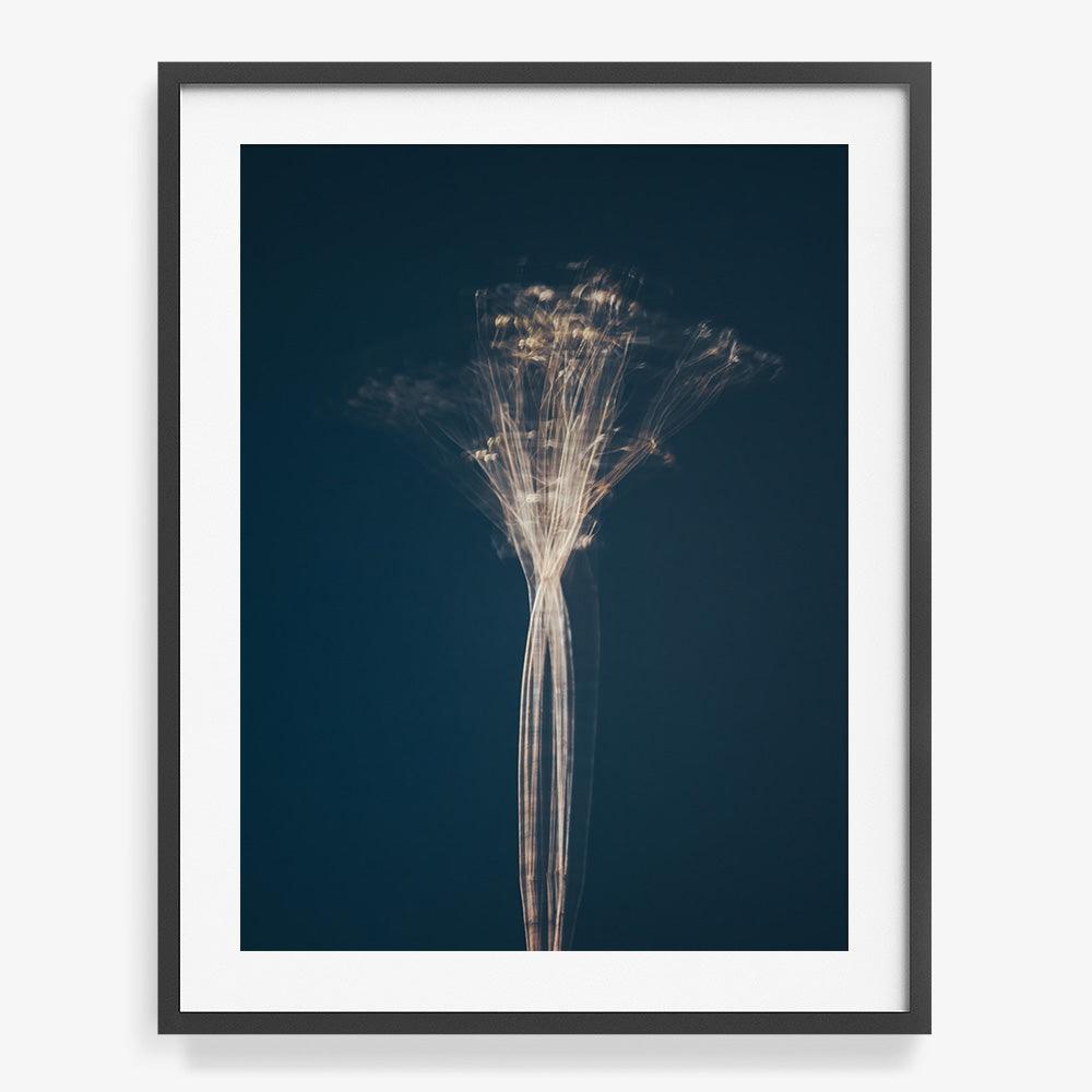 Photograph by Jan Prengel