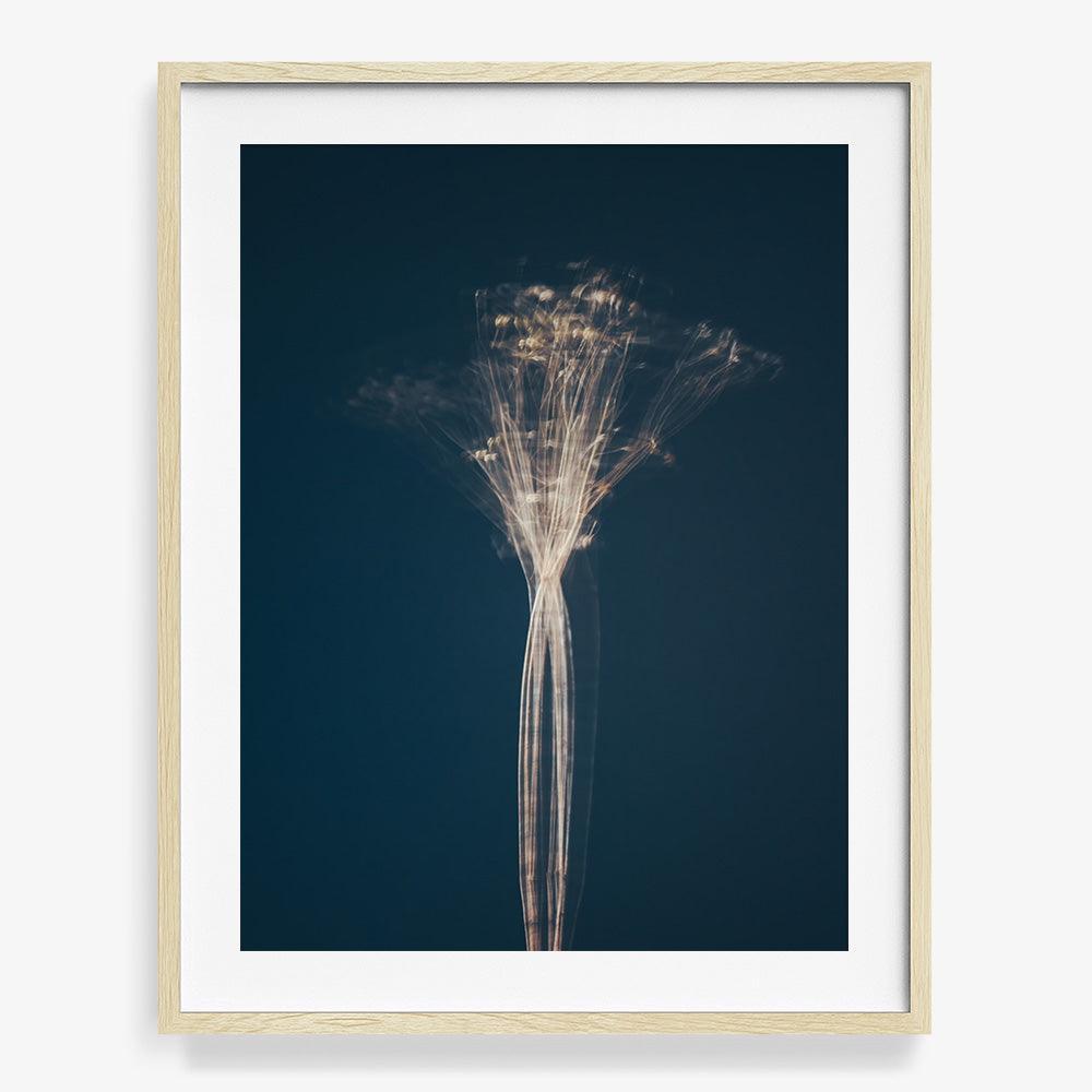 Photograph by Jan Prengel