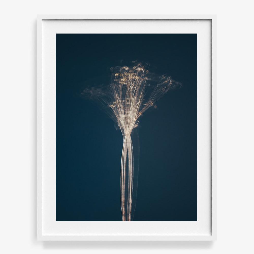 Photograph by Jan Prengel