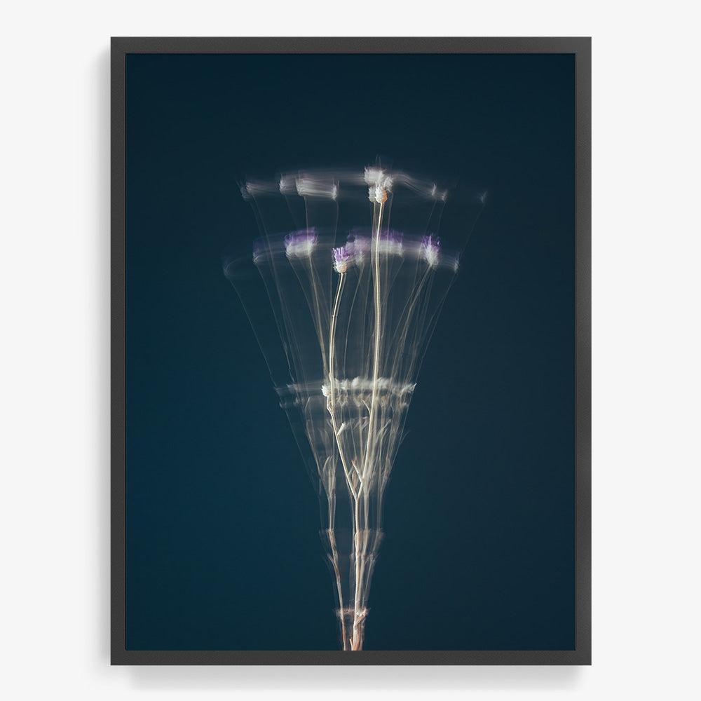 Photograph by Jan Prengel