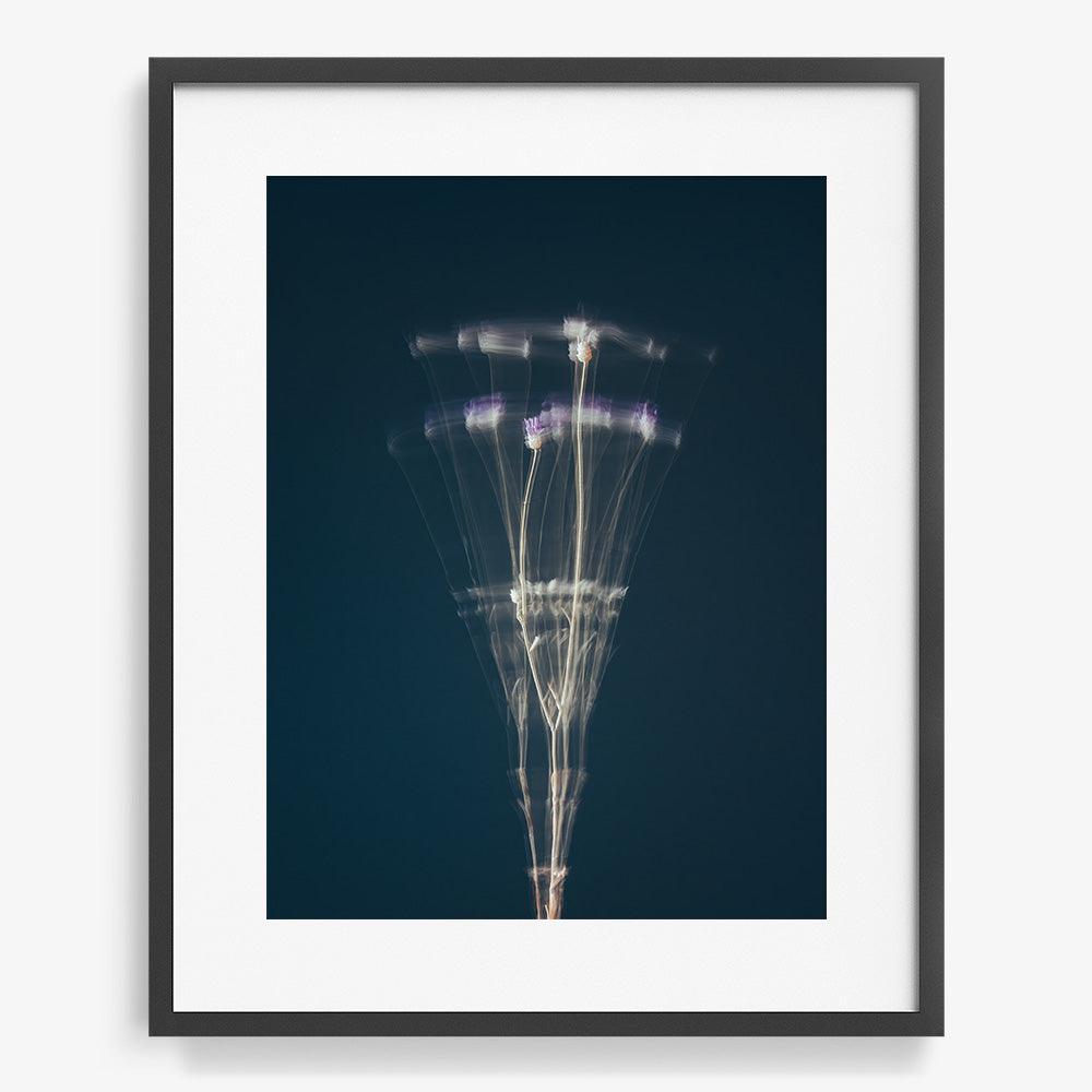 Photograph by Jan Prengel