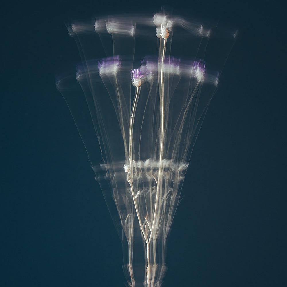 Photograph by Jan Prengel