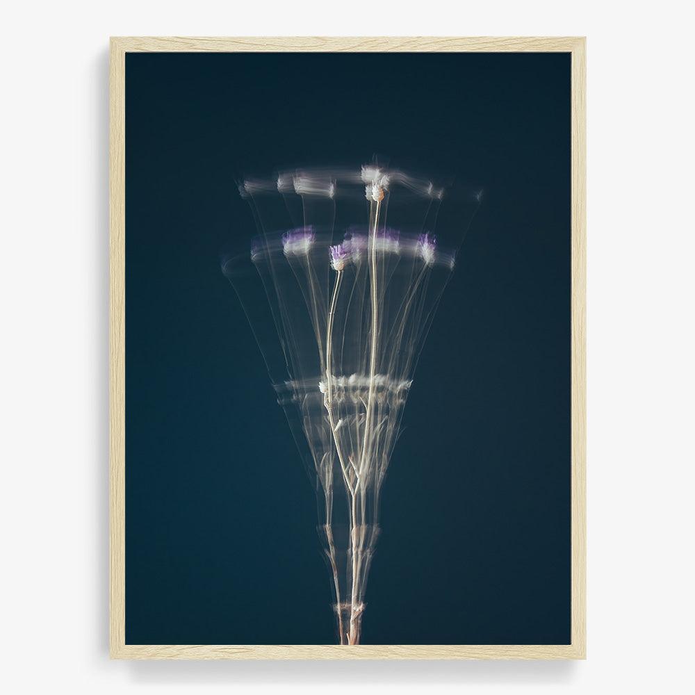 Photograph by Jan Prengel