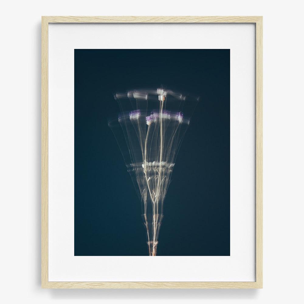 Photograph by Jan Prengel