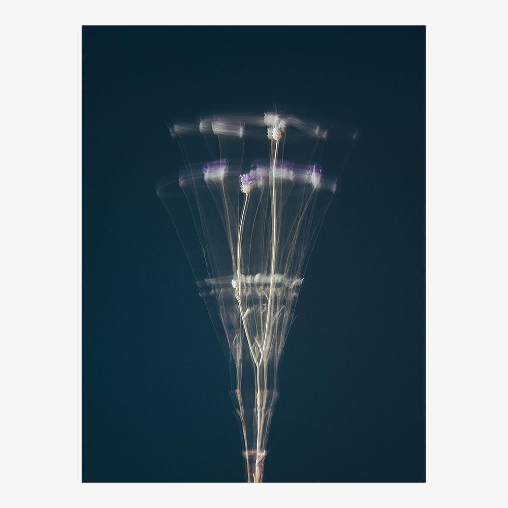 Photograph by Jan Prengel