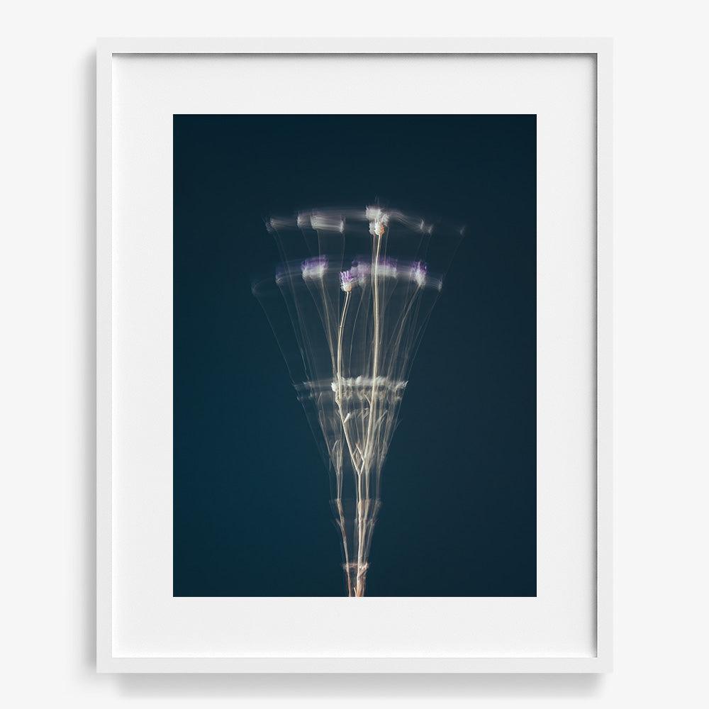 Photograph by Jan Prengel