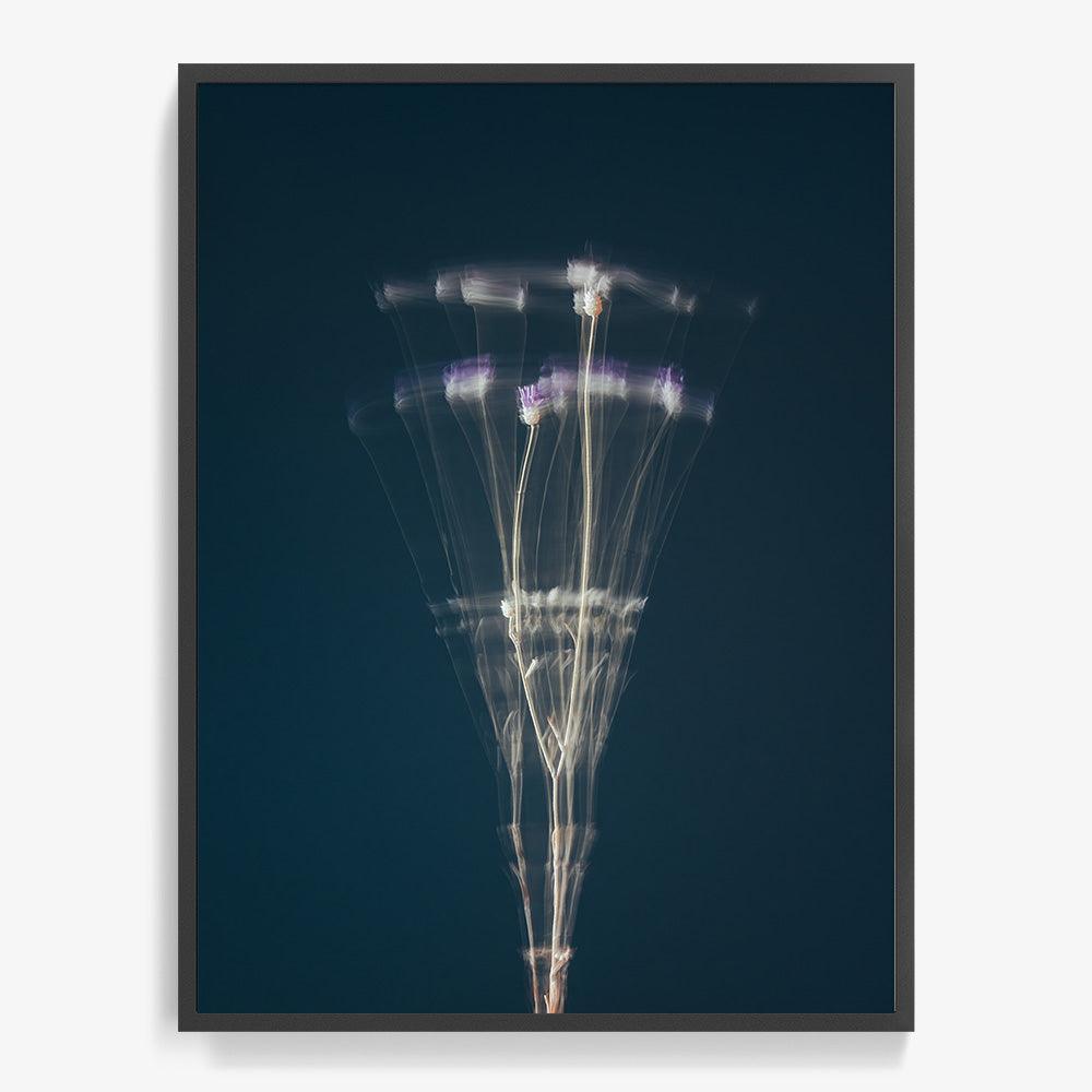 Photograph by Jan Prengel