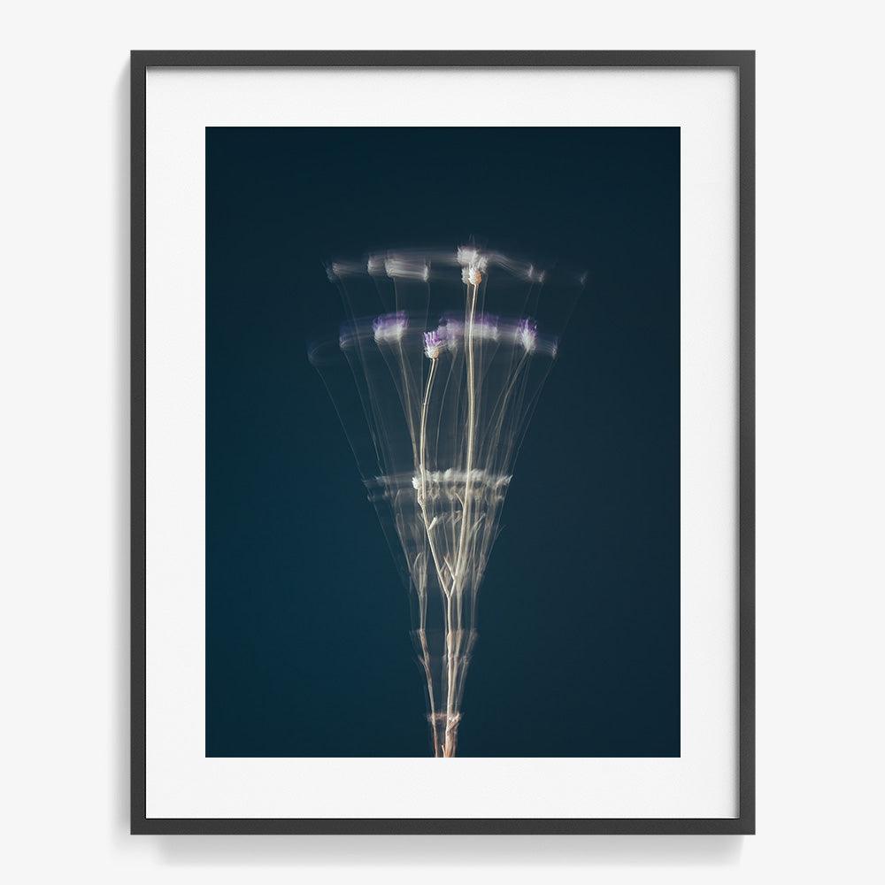 Photograph by Jan Prengel