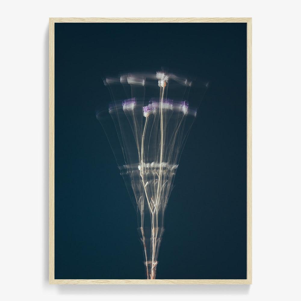 Photograph by Jan Prengel