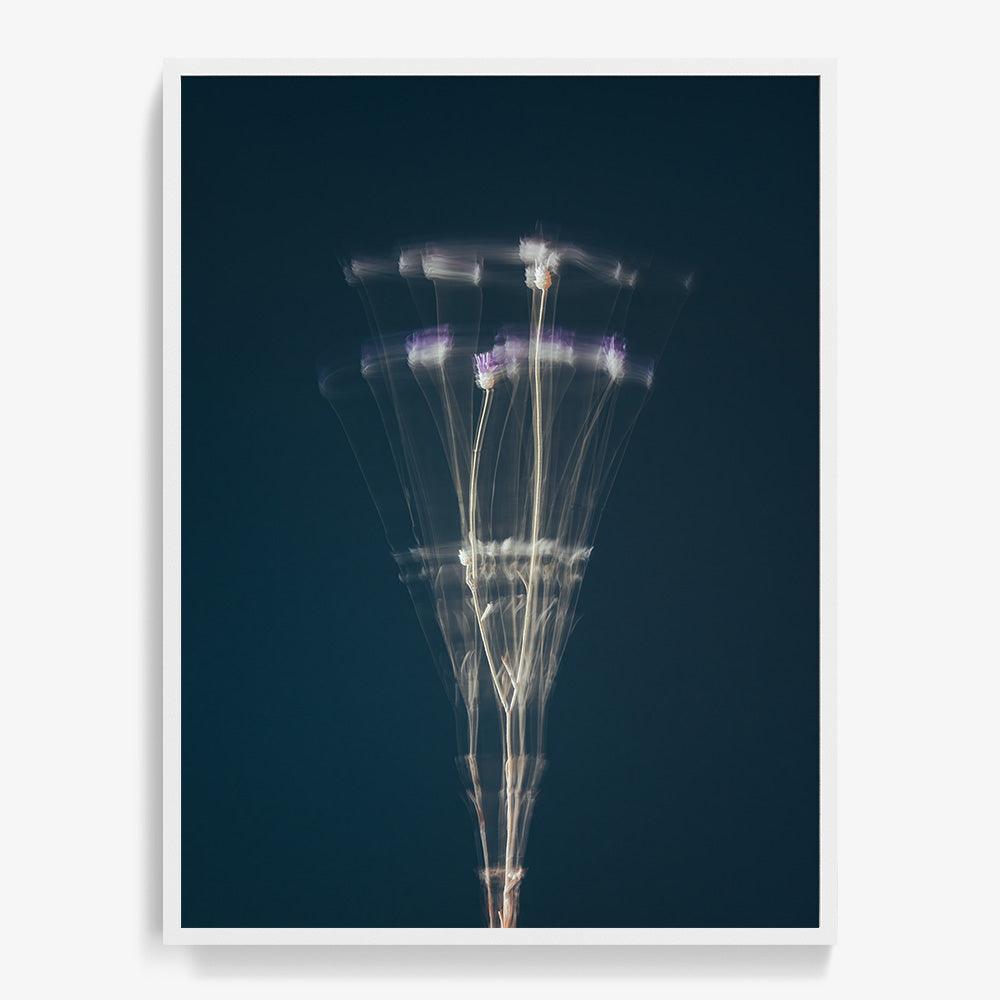 Photograph by Jan Prengel