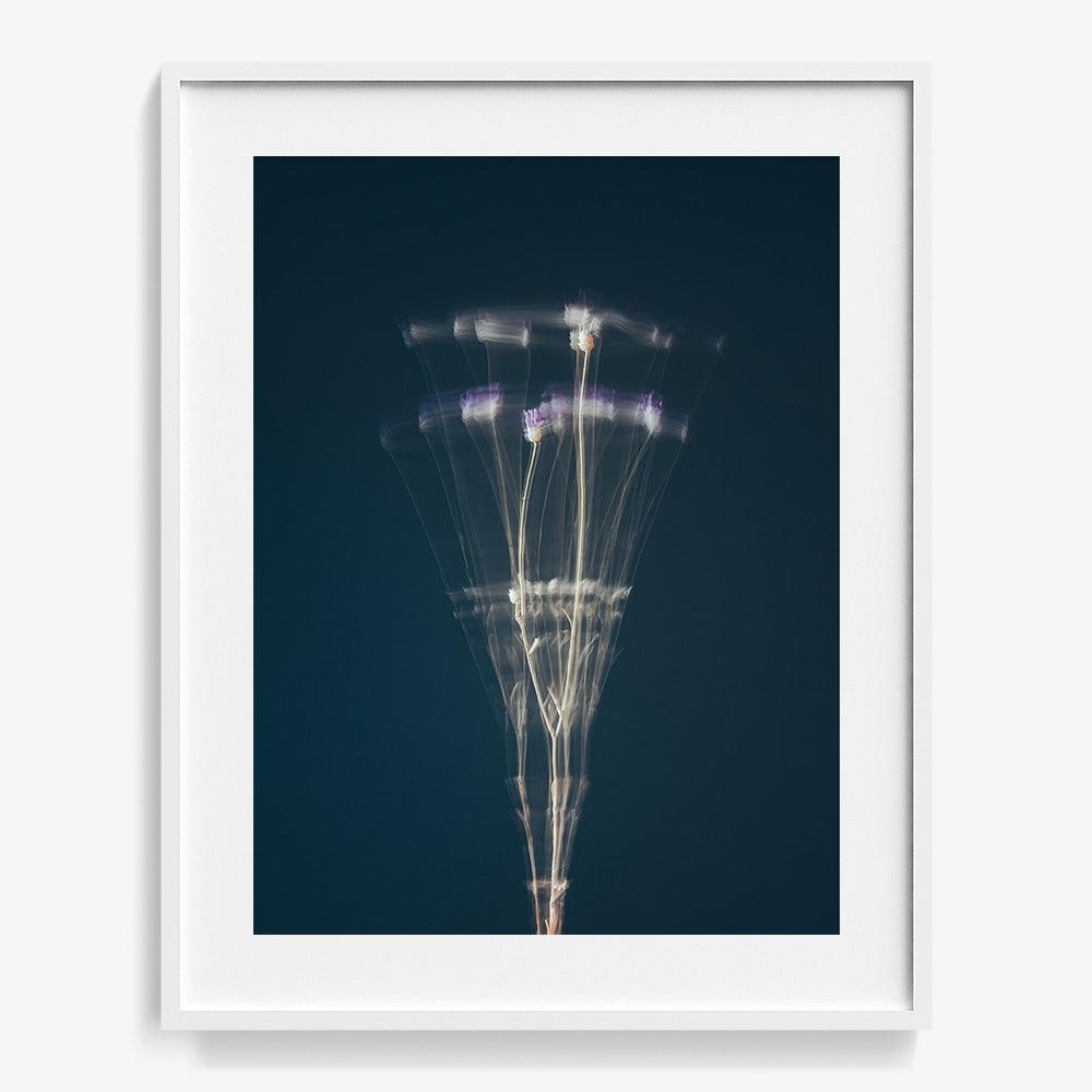 Photograph by Jan Prengel