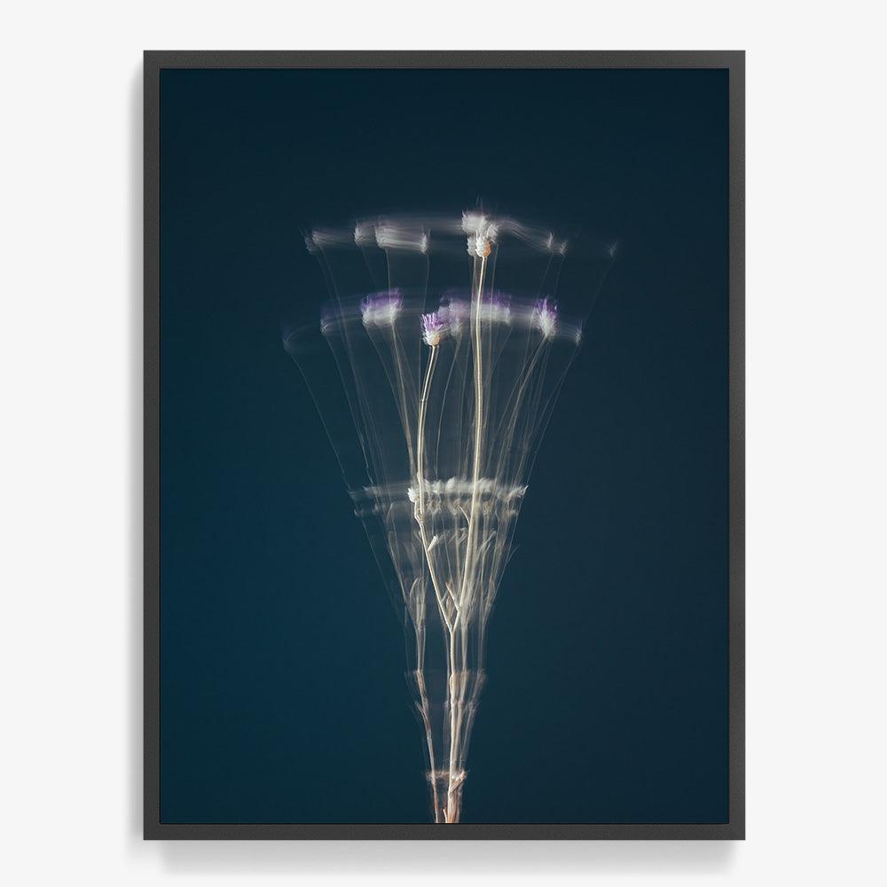 Photograph by Jan Prengel