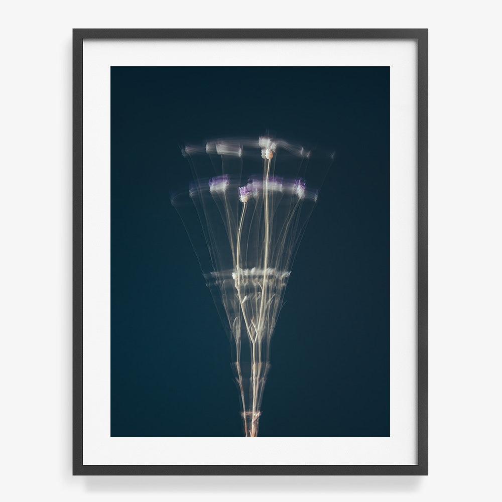 Photograph by Jan Prengel