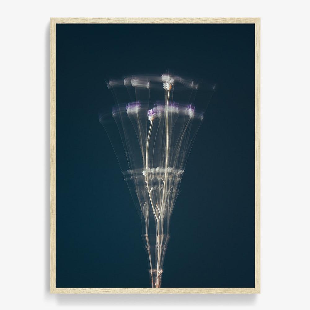 Photograph by Jan Prengel