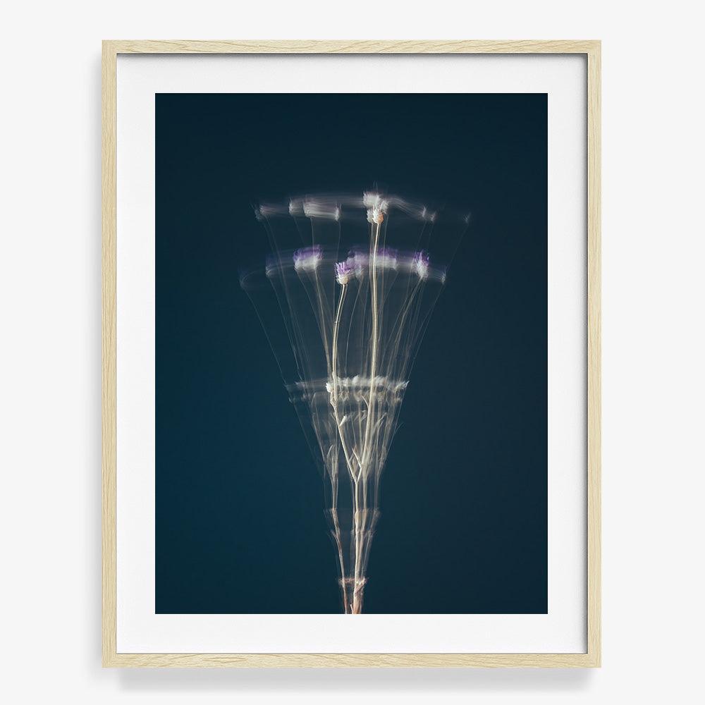 Photograph by Jan Prengel