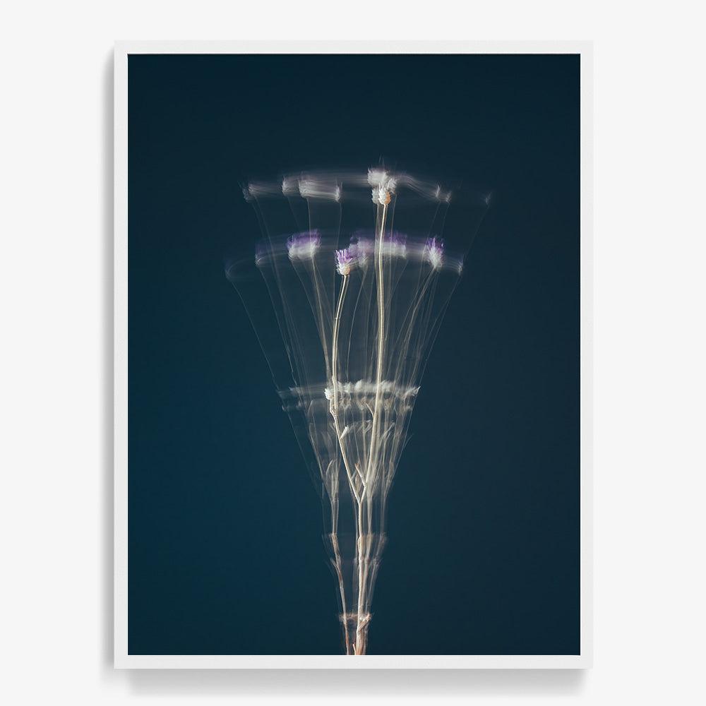 Photograph by Jan Prengel