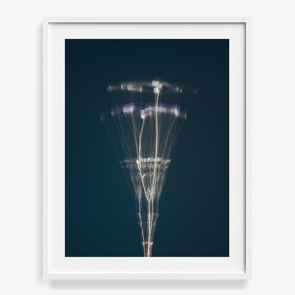 Photograph by Jan Prengel