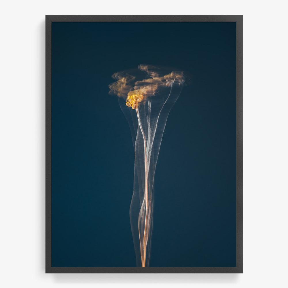 Photograph by Jan Prengel