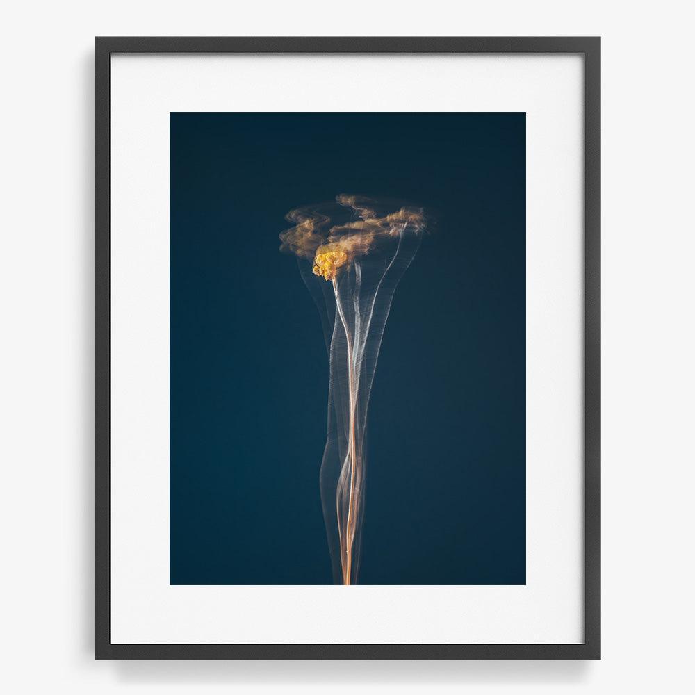 Photograph by Jan Prengel