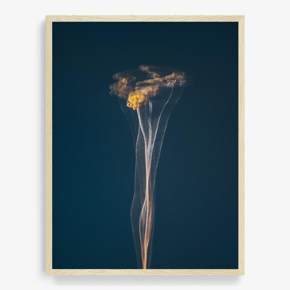 Photograph by Jan Prengel